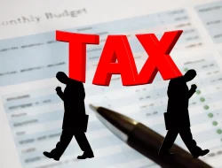 Kata Pakar tentang PPN 12%: Perlu Kebijakan Pendamping