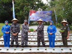 Dukung Ketahanan Pangan, Danlanal Malang Pimpin Penanaman Sayur di Wisma Nala Batu