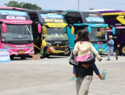 Mudik Lebaran 2025, Kemenhub RI Siapkan 520 Bus Gratis