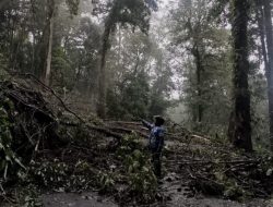 Viral, Longsor Hantam Dua Mobil, Jalur Cangar – Pacet Mojokerto Lumpuh Total