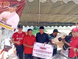 Berbagi Kurban di Hari Spesial Lahirnya Bung Karno, Anggota DPR RI Andreas Eddy Susetyo Salurkan Bantuan Hewan Kurban 13 Sapi dan 9 Kambing