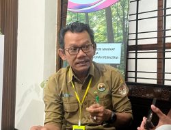 Diduga Ada Praktek Limbah Kayu Hutan Dikomersilkan, Adm Perhutani KPH Malang Siap Dalami Laporan