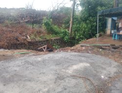 Walhi Jawa Timur Kecam Penebangan Pohon Beringin di Jalan Raya Singosari