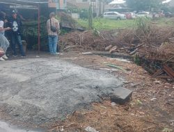 Polemik Penebangan Pohon Beringin Besar di Singosari, Diduga Kuat Ada Pesanan Oknum untuk Proyek Komersial