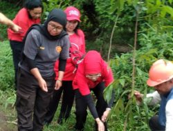 Rayakan Ultah Megawati ke 79, DPC PDIP Kota Malang Gelar Tanam Pohon Hingga Tasyakuran Doa Bersama