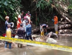 Jabung Gempar, Penemuan Mayat Perempuan Tanpa Busana Mengapung di Sungai