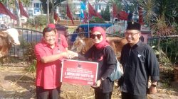 Serahkan Hewan Kurban ke DPC PDIP Kota Malang dan Kota Batu, Andreas Eddy Susetyo Ingatkan Konsistensi dalam Melakukan Kerja Sosial dan Gotong Royong