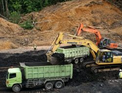 Badai PHK Hantam Sektor Tambang Kaltim, Ratusan Pekerja Kehilangan Mata Pencaharian